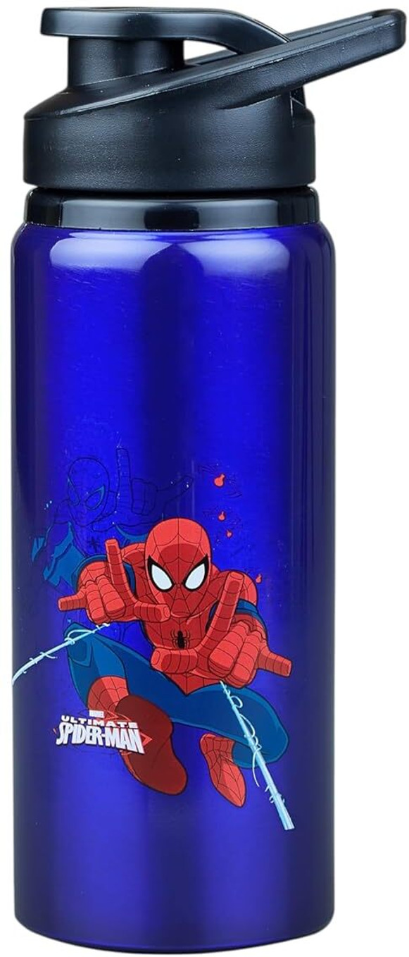 Cartoon Print Aluminium Water Bottle for Gym,School,Running BPA Free,Leak-Proof 600 ml Aluminium Bottle (Pack of 1, Blue)