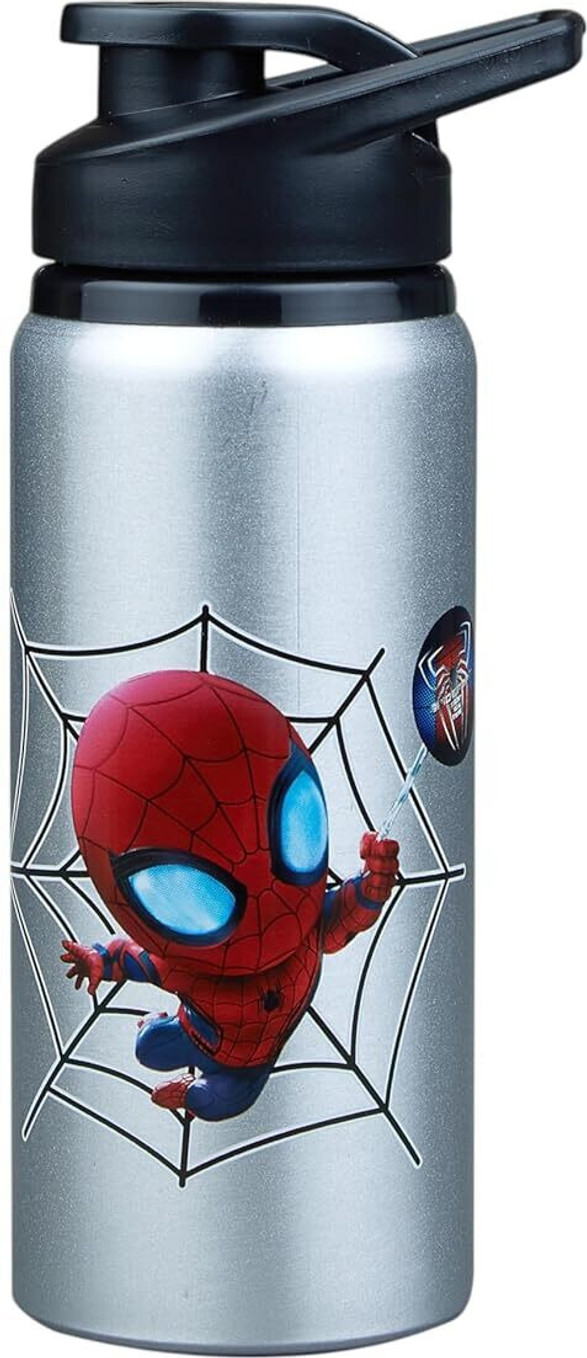 Aluminium Water Bottle Cartoon Printed,Leak-Proof & Durable Eco-Friendly 600 ml Aluminium Bottle (Pack of 1, Silver)