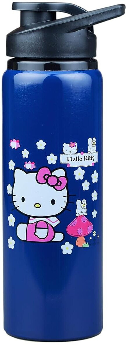 Aluminium Water Bottle Princes Cartoon Printed,Leak-Proof & Durable Eco-Friendly 750 ml Aluminium Bottle (Pack of 1, Blue)
