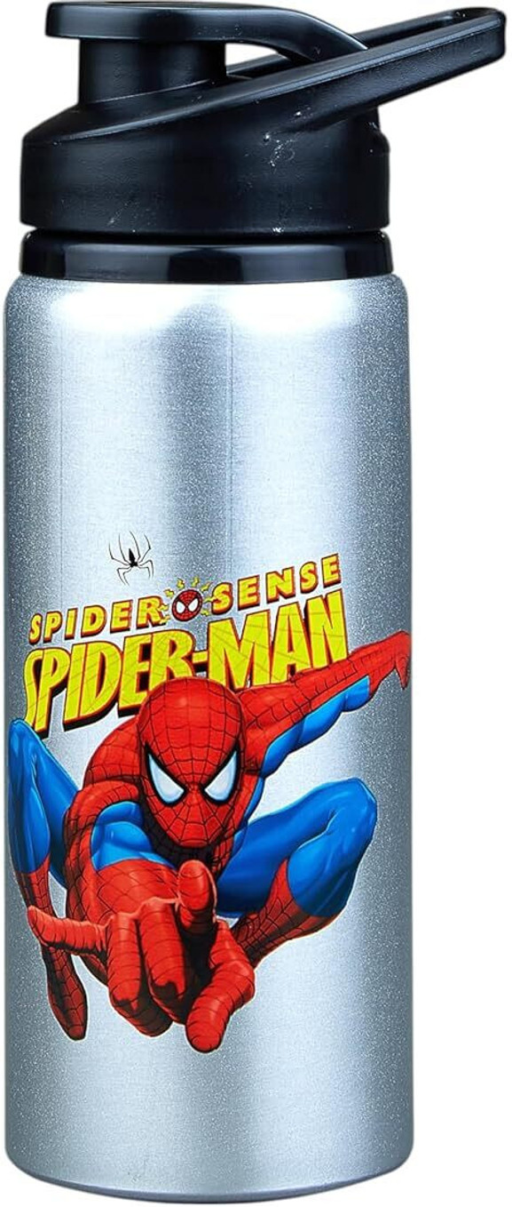 Aluminium Water Bottle Cartoon Printed,Leak-Proof & Durable Eco-Friendly 600 ml Aluminium Bottle (Pack of 1, Silver)