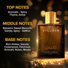 BEARDO Godfather Perfume-Premium, Strong and Long Lasting Fragrance-Aromatic-Gift Eau de Parfum - 100 ml For Men - view 7