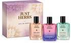 Just Herbs Pure Fragrances Refreshing & Energising Trio Perfume Set of 3 - 50ML Eau de Parfum - 150 ml For Men & Women - view 17