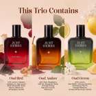 Just Herbs Pure Fragrances Refreshing & Energising Trio Perfume Set of 3 - 50ML Eau de Parfum - 150 ml For Men & Women - view 15