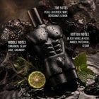 Wild Stone Oud Perfume for Men | Long-Lasting Oud Perfume | Premium Woody Oriental Eau de Parfum - 100 ml For Men - view 4
