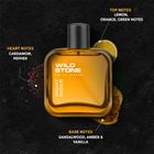 Wild Stone KING Long Lasting Premium Perfume for Men Eau de Parfum - 100 ml For Men - view 4