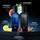 BEARDO Godfather Perfume-Premium, Strong and Long Lasting Fragrance-Aromatic-Gift Eau de Parfum - 100 ml For Men - view 3