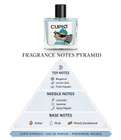 CUPID Hypnosis Perfume Luxury Long Lasting premium fragrance Aex wala Eau de Parfum - 100 ml For Men & Women - view 14