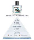 CUPID Hypnosis Perfume Luxury Long Lasting premium fragrance Aex wala Eau de Parfum - 100 ml For Men & Women - view 3