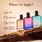 Just Herbs Pure Fragrances Refreshing & Energising Trio Perfume Set of 3 - 50ML Eau de Parfum - 150 ml For Men & Women - view 4
