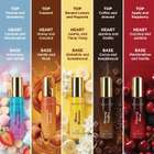 Envy Unisex Perfume Gift Set - Oud, Spicy, Vanilla & Aqua | Pack of 4 × 20ml Eau de Parfum - 80 ml For Men & Women - view 16