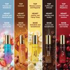 Envy Unisex Perfume Gift Set - Oud, Spicy, Vanilla & Aqua | Pack of 4 × 20ml Eau de Parfum - 80 ml For Men & Women - view 3