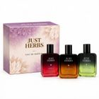 Just Herbs Pure Fragrances Refreshing & Energising Trio Perfume Set of 3 - 50ML Eau de Parfum - 150 ml For Men & Women - view 5