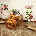Allie Wood Sheesham Wood Solid Wood Nesting Table