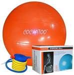 COCKATOO Anti Burst Gym Ball Gym Ball  (With Pump)