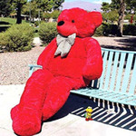 6 feet red teddy hot sale bear online shopping