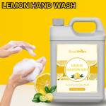 smartdrops Lemon HandWash Liquid remove bacteria and viruses | Hand Wash Can  (5000 ml)