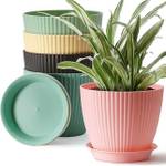 Nursery Hub Plant Container Set