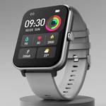 Fire-Boltt Ninja Calling Pro Plus 46.5mm (1.83) Display Bluetooth Calling, AI Voice Smartwatch  (Silver Strap, Free Size)