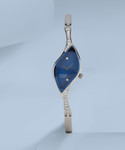 Titan NQ9710SM01 Raga Analog Watch For Women Buy Titan