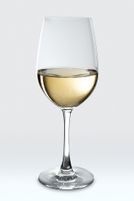 Flipkart SmartBuy WNE350G Glass Wine Glass (350 ml, Glass, Clear)