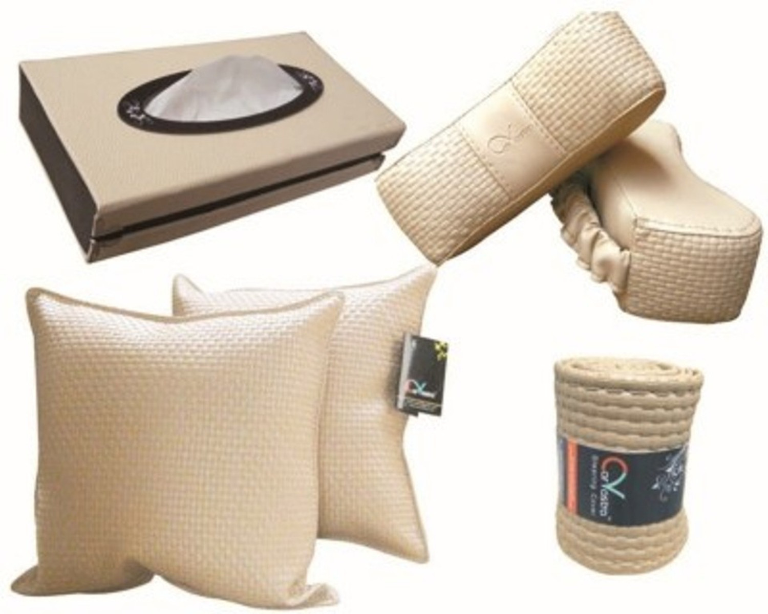Image of ACR Audible X touch screen, Blaupankt speaker set Combo
