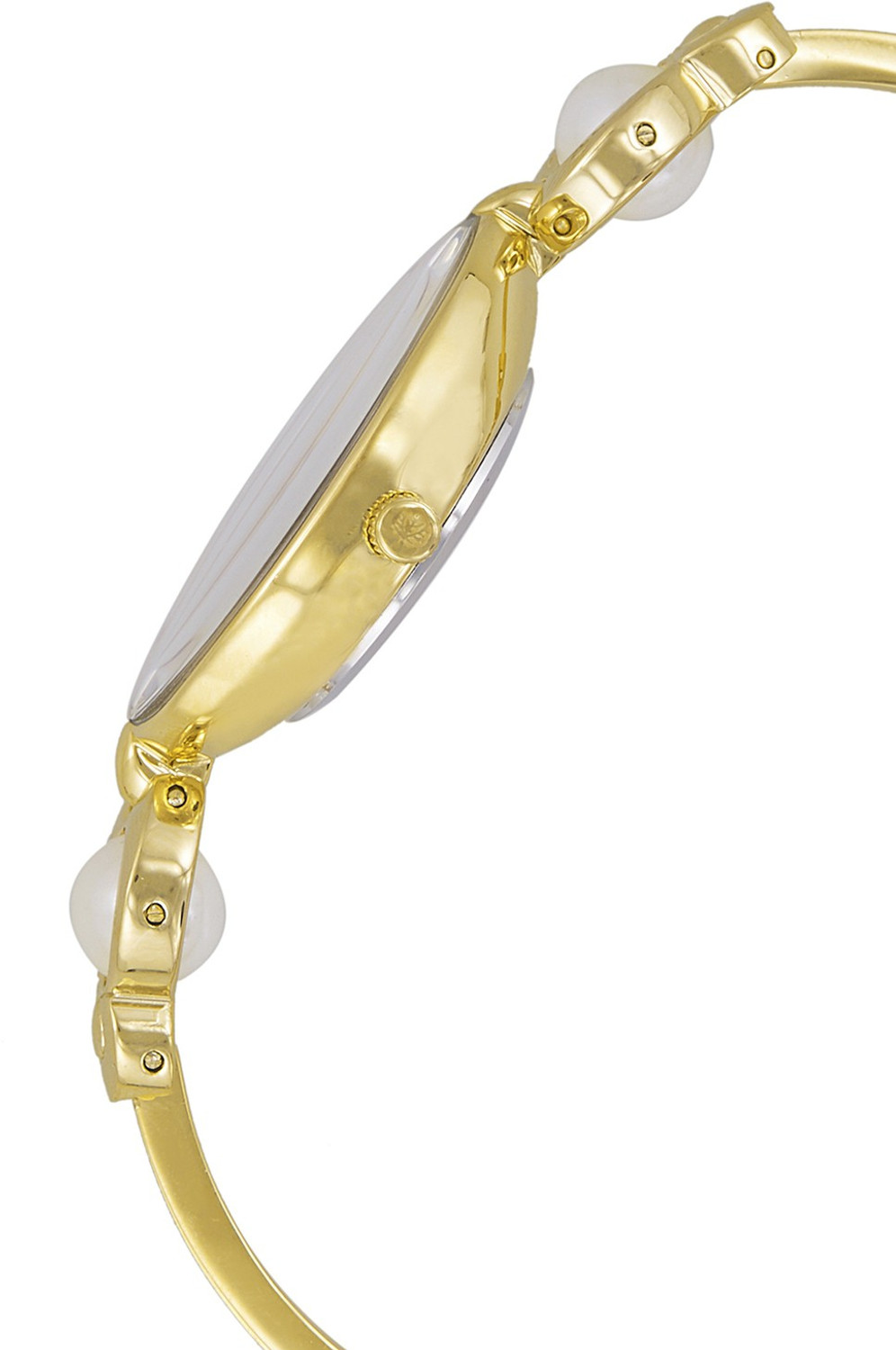 Image of Aspen Ionic Gold Plating Analog Watch - For Women AP2005