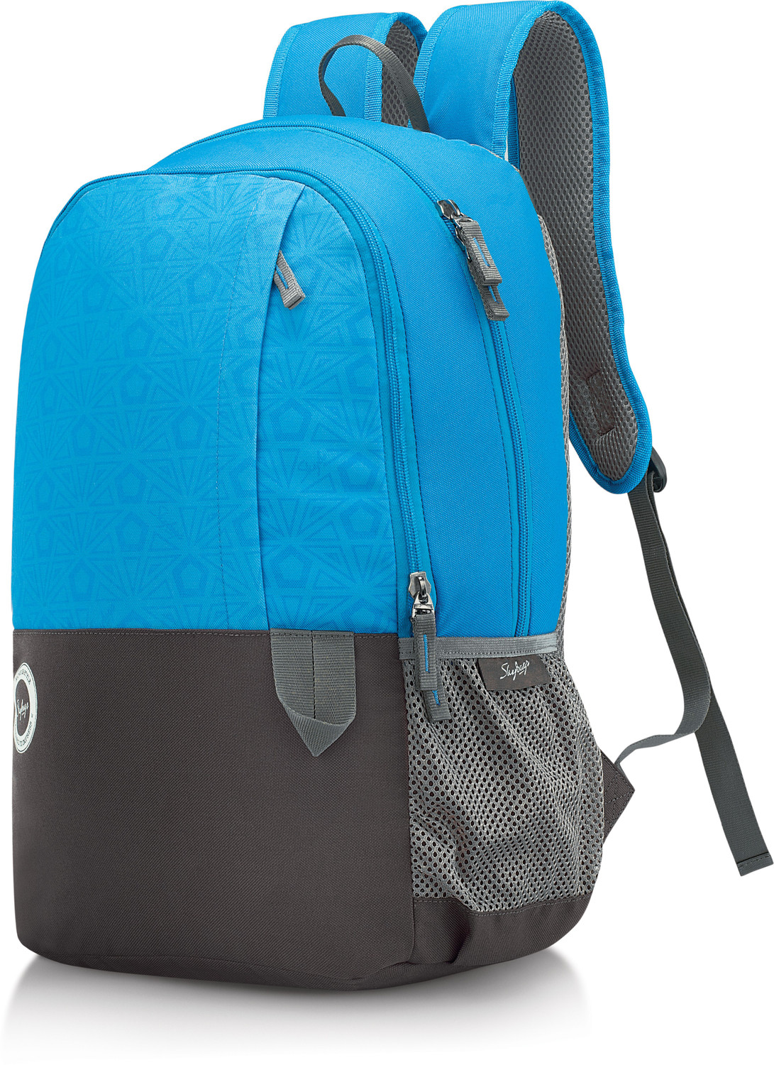 Image of SKYBAGS Medium 23 L Backpack TAG (Blue)