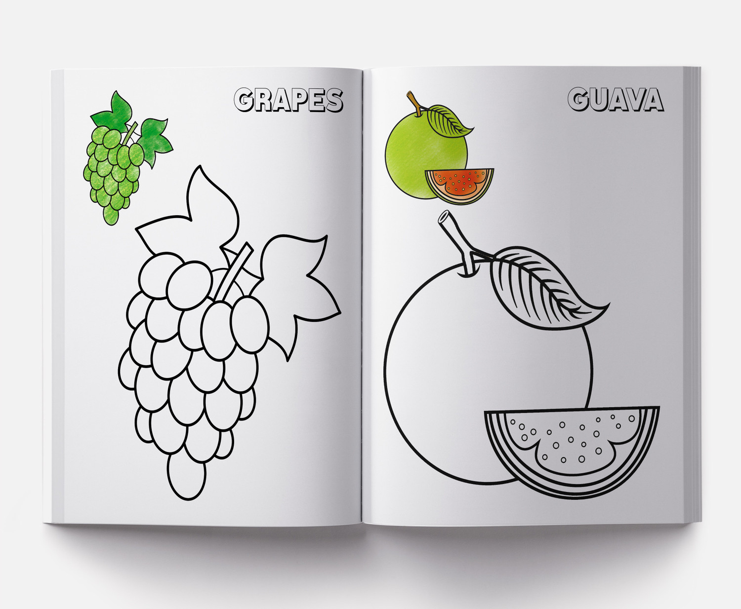 Image of Prakash Books India Private Limited Colouring Book of Fruits - By Miss & Chief (English, Paperback, Wonder House Books)