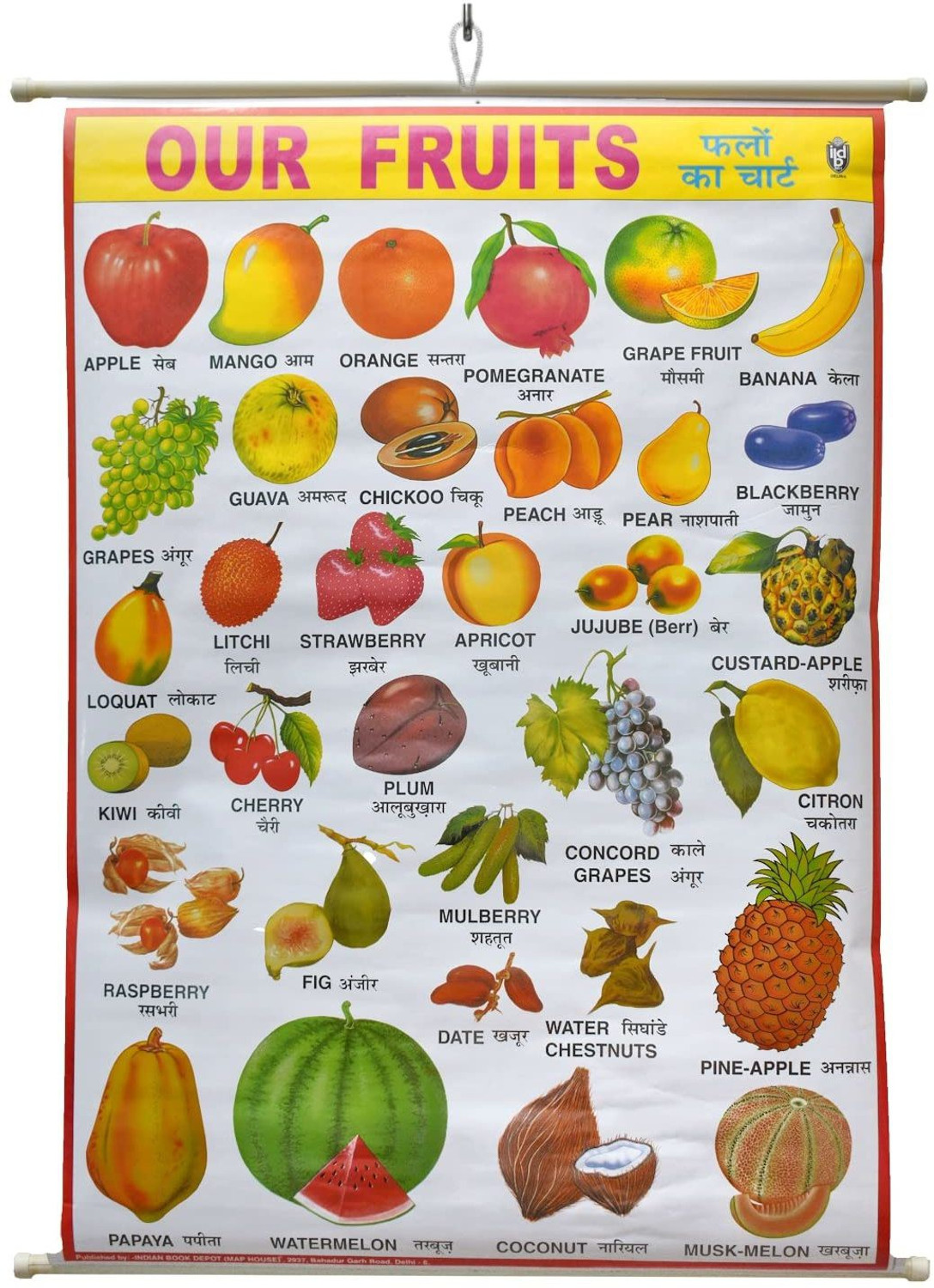 Image of Prakash Books India Private Limited Fruits Chart - By Miss & Chief (English, Paperback, unknown)