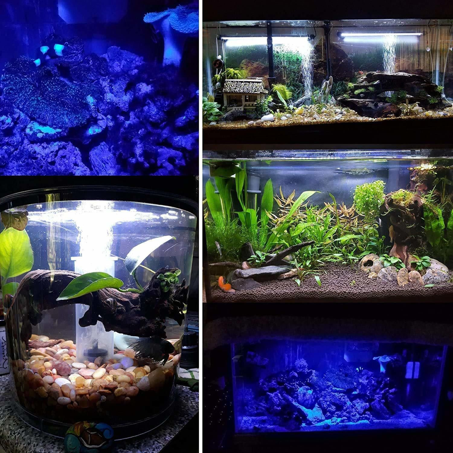 Image of Buraq 2 In 1 Aquarium Essentials Kit 15W Aquarium Filters + Light Power Aquarium Filter (Mechanical Filtration for Salt Water and Fresh Water)