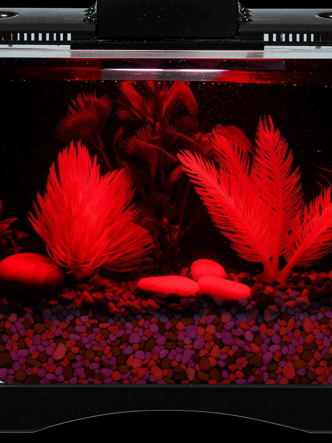 Image of Blue Marlin half moon 005 Round Ends Aquarium Tank (2 L)