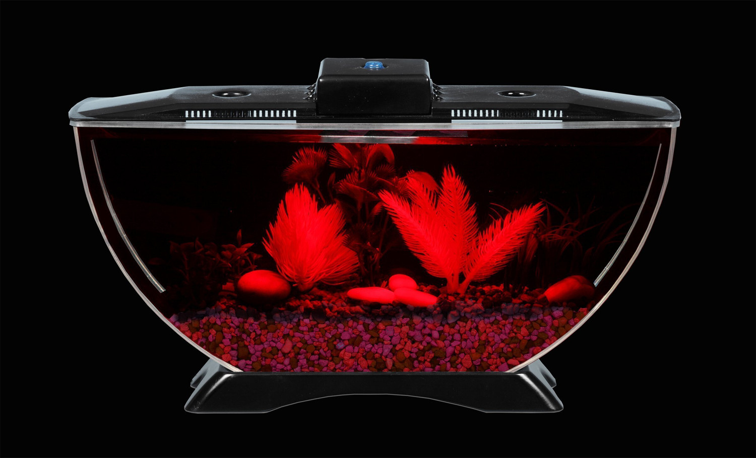 Image of Blue Marlin half moon 005 Round Ends Aquarium Tank (2 L)