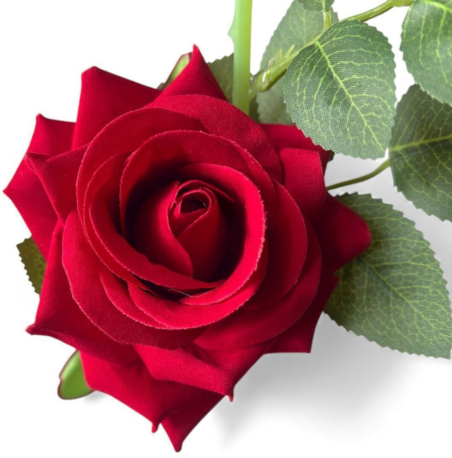 Image of BeFit RED-R-2PC Red Rose Artificial Flower with Pot (28 cm, Pack of 2, Flower with Basket)