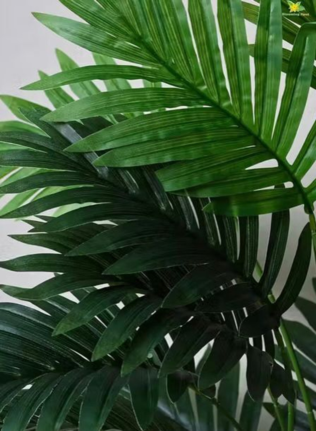 Image of Conisstore Artificial Beautiful 12 Leafs Tree Home Interior & Exterior Plant Palm Tree Artificial Plant (60 cm, Green)