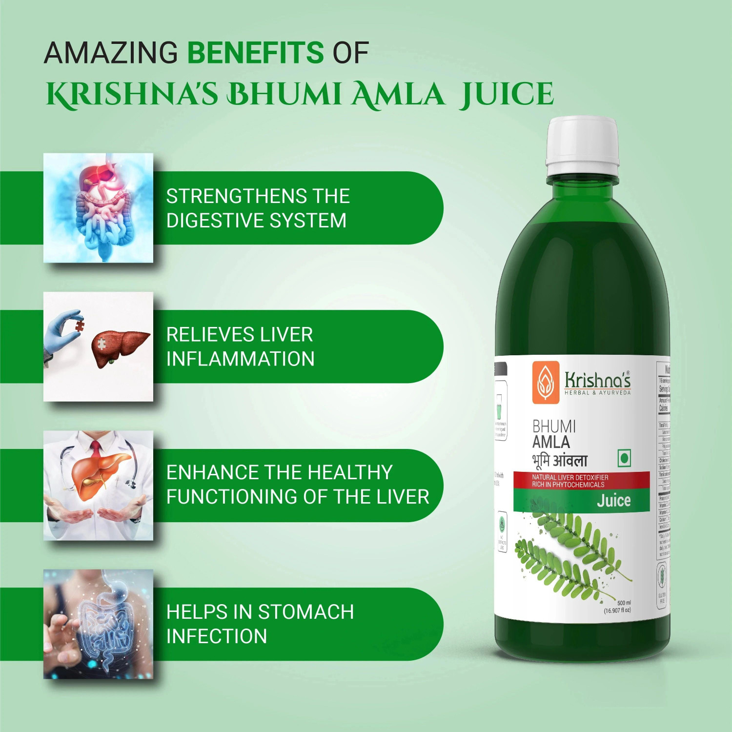 Image of Krishna's Herbal & Ayurveda Bhumi Amla Juice | Immunity Booster (500)