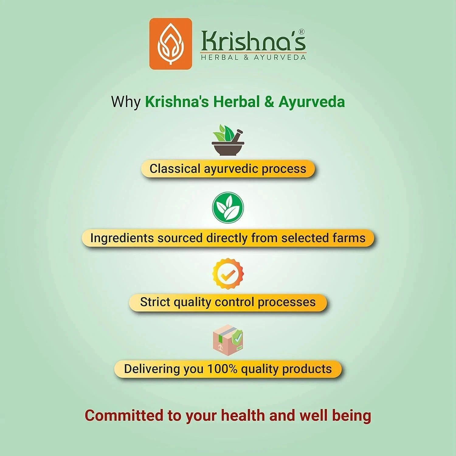 Image of Krishna's Herbal & Ayurveda Bhumi Amla Juice | Immunity Booster (500)