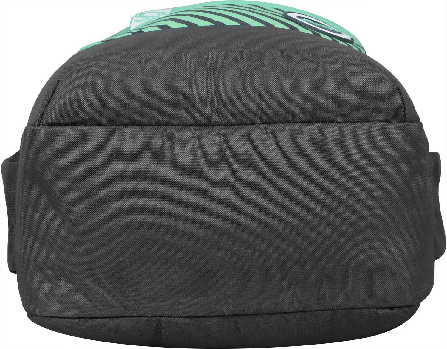 Image of SKYBAGS Medium 30 L Backpack Luke 02 (Green, Black)