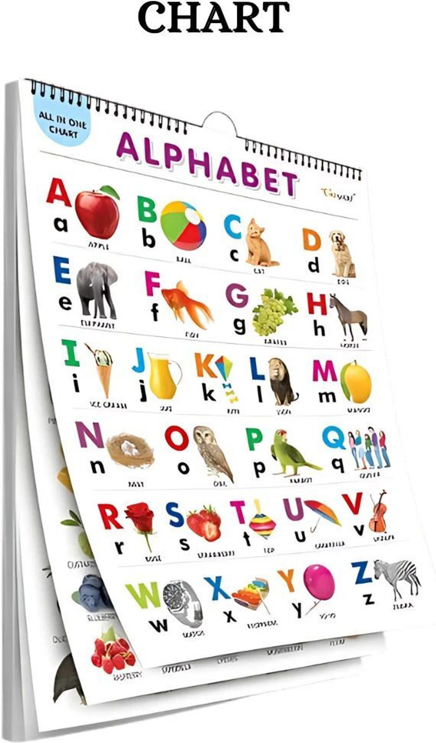 Image of Prakash Books India Private Limited Fruits Chart - By Miss & Chief (English, Paperback, unknown)