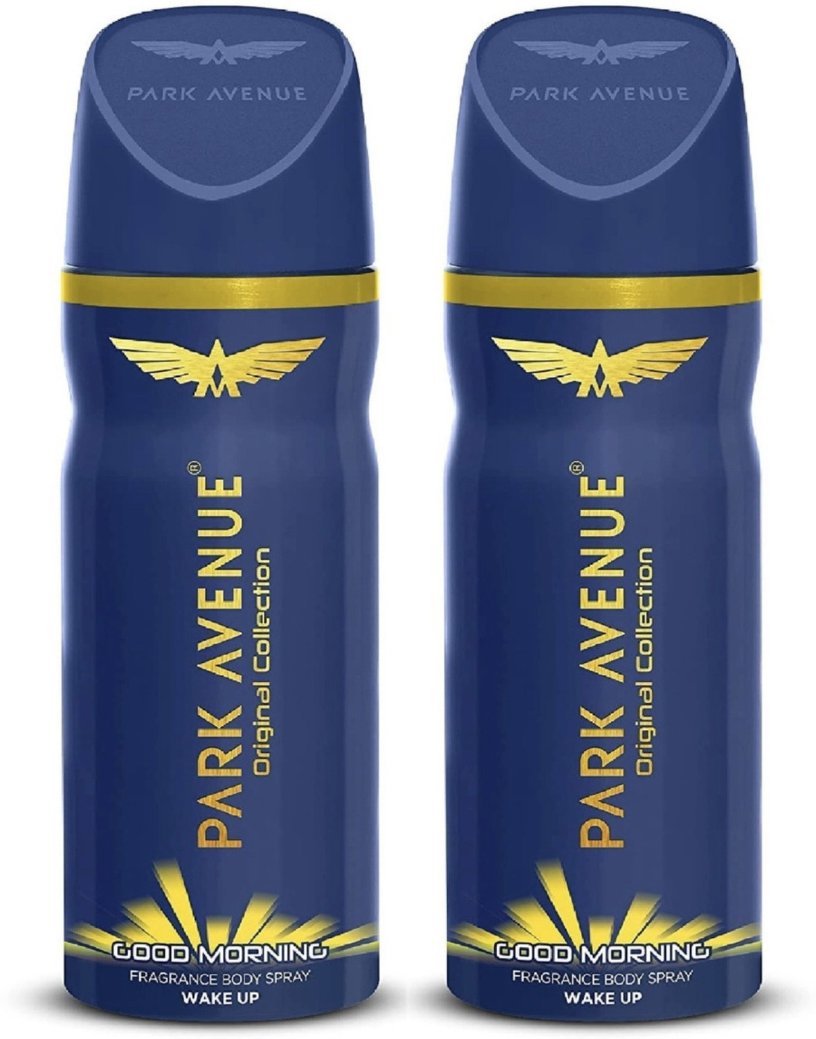 Image of PARK AVENUE Discover Premium Body Spray for Men | Long-Lasting Fresh Deodorant Body Spray - For Men & Women (150 ml)