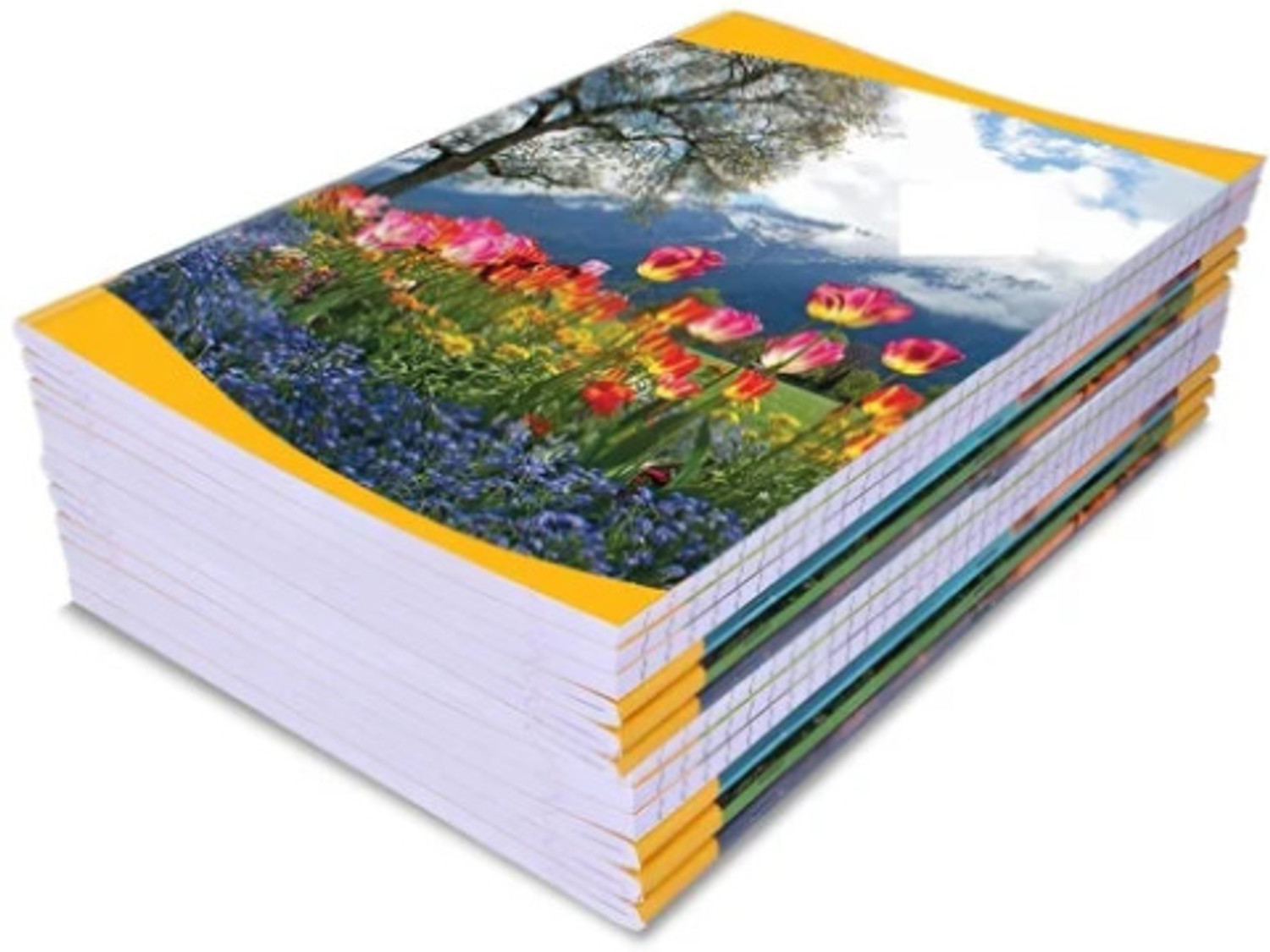 Image of SBS RESIGTER KIDS AND STUDENT A4 Notebook RULLED (HINDI) 172 Pages (WHITE PAGE)
