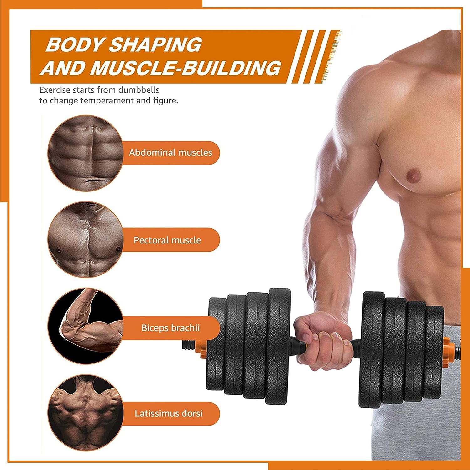 Image of JASMINE FITNESS 50 kg 50KG Home Gym Dumbbell Plate Set with 3FT Straight Rod & Accessories Home Gym Combo