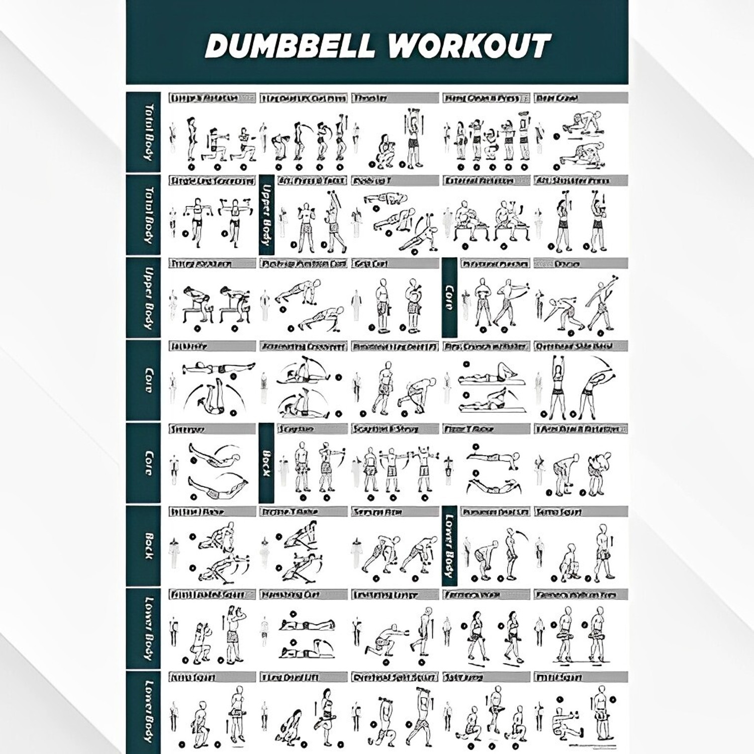 Image of Draven Iron Casting Rubber Coated Gym & home Round Dumbbell Highly Durable 17.5*2=35KG Fixed Weight Dumbbell (17.5 kg)