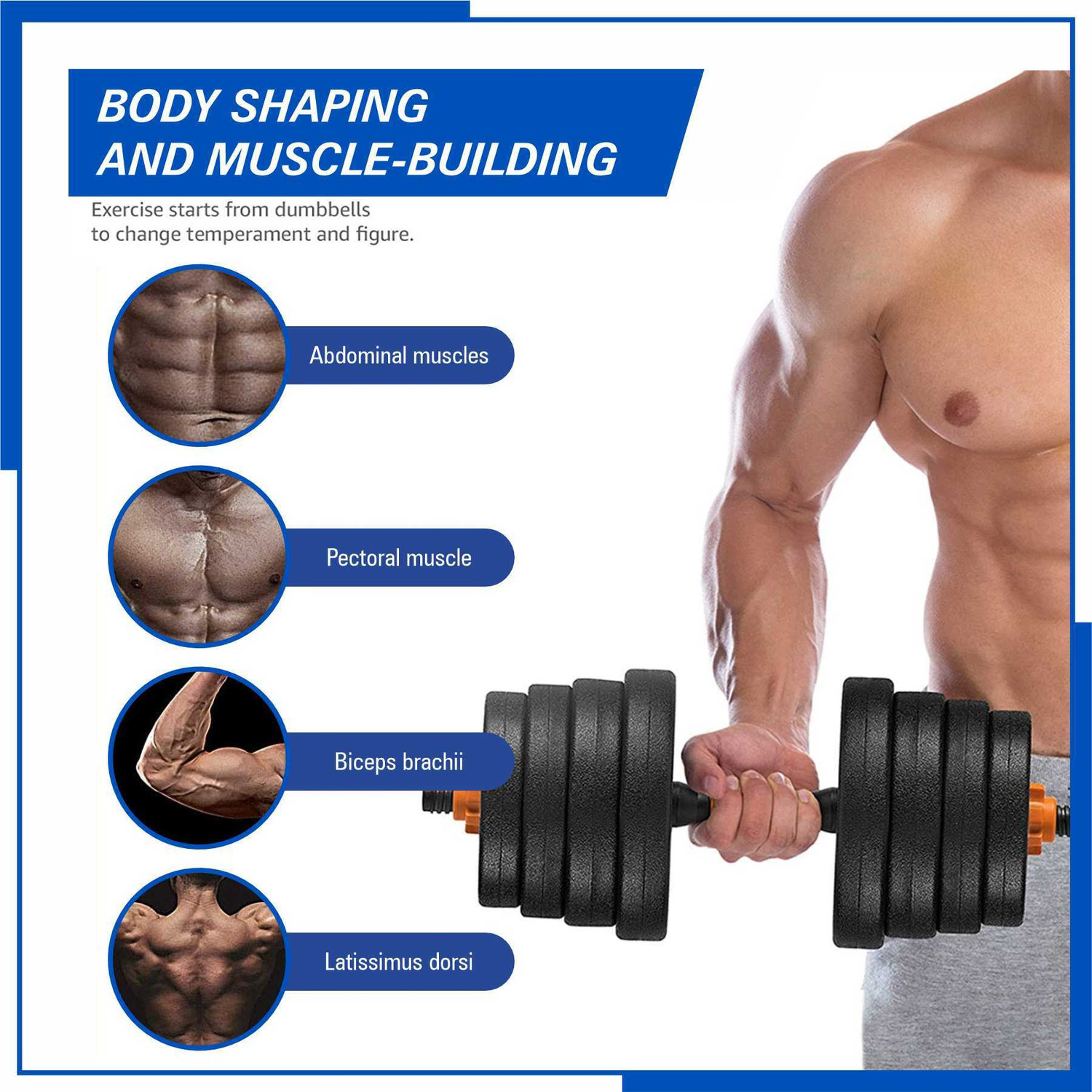 Image of Adrenex 40 Kg PVC Weight Plates with ONE Pair RODS Adjustable Dumbbell (40 kg)