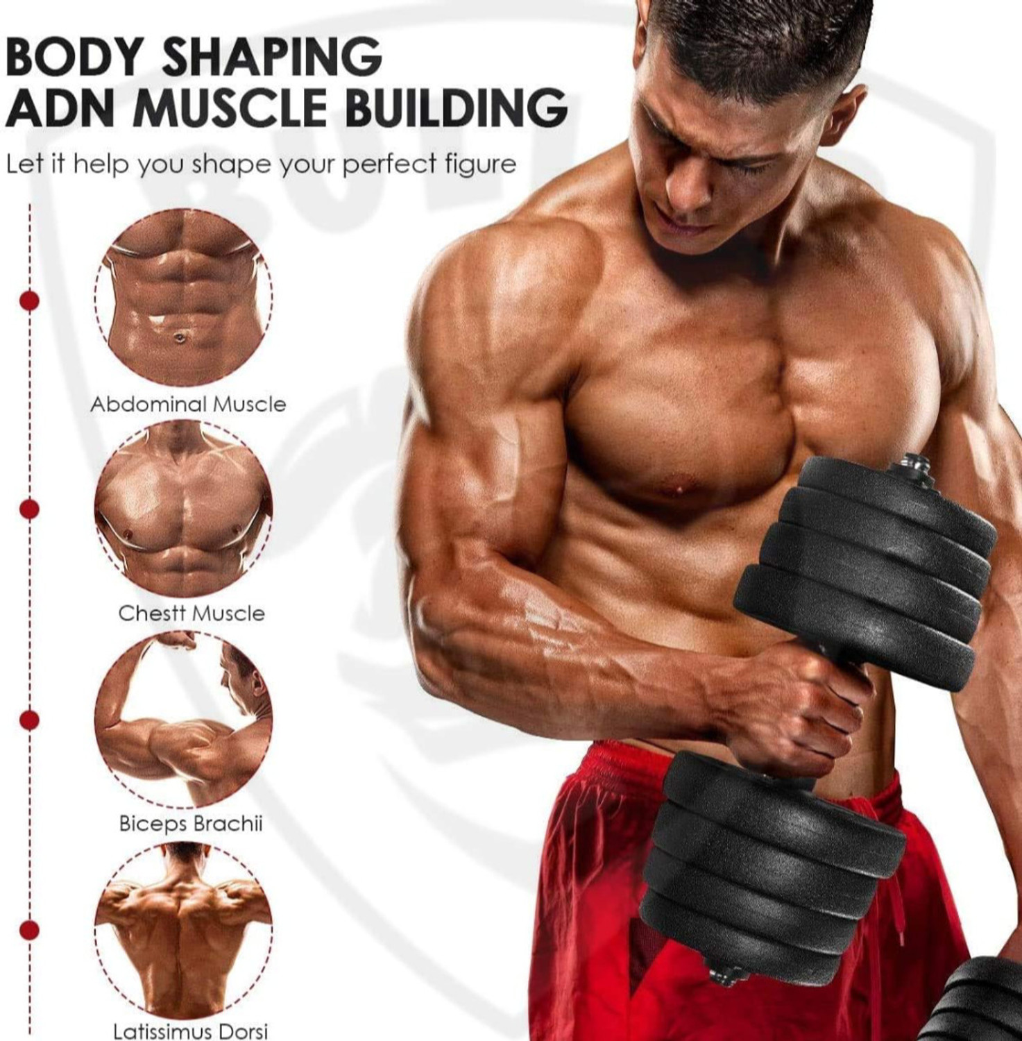 Image of POWER FITNESS 20Kg PVC Dumbbell KIT with dumble rods GYM & FITNESS KIT Fitness Accessory Kit Kit