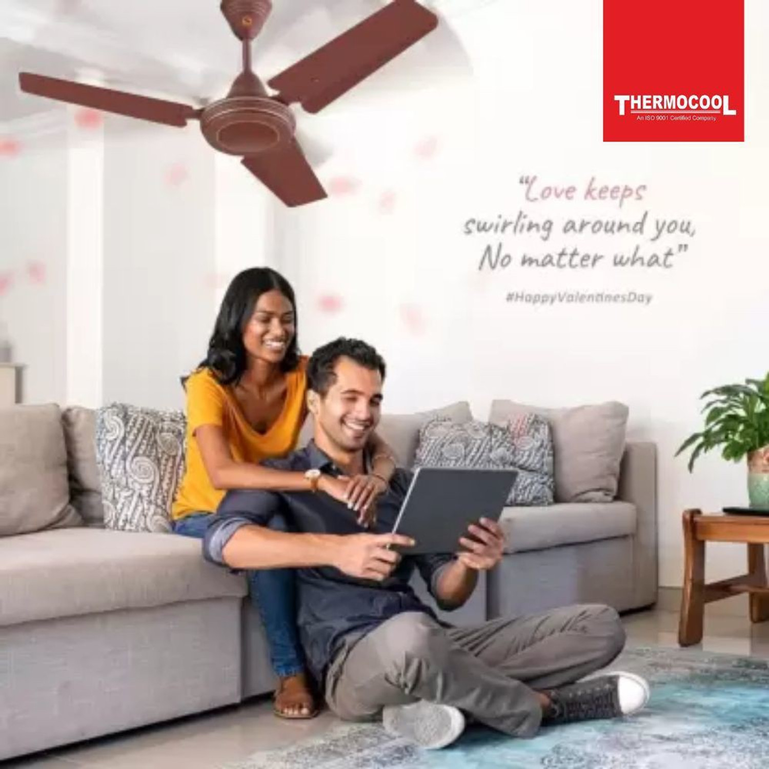 Image of THERMOCOOL Little | 600 RPM | Choco Brown | with 1 Year Warranty 900 mm Ceiling Fan (Choco Brown | Pack of 1)