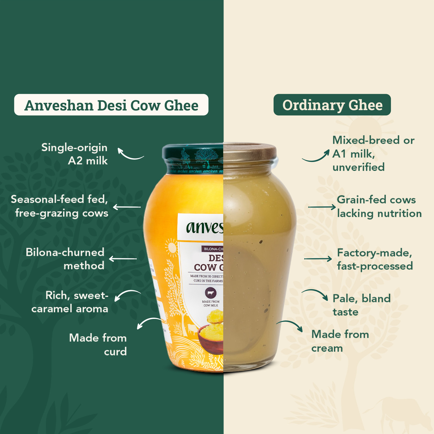 Image of Anveshan A2 Desi Cow Ghee (1 Litre x 2 Jars) | Traditionally Bilona-Churned Ghee Mason Jar (2000 ml, Pack of 2)