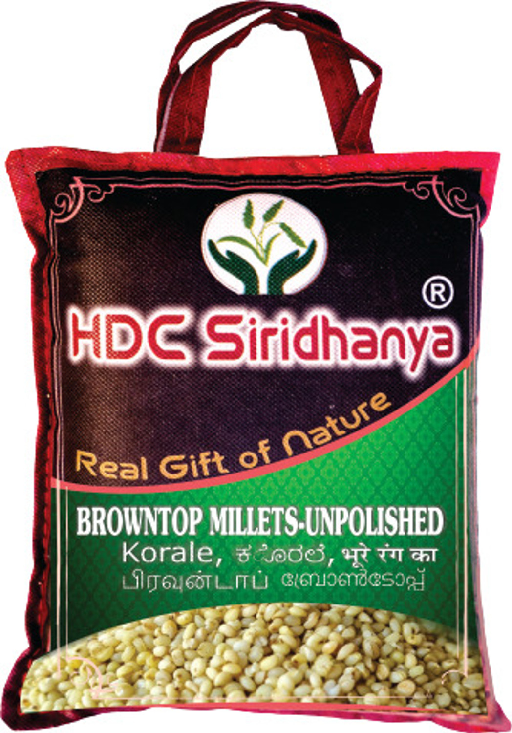 Image of Manna Browntop Millet Natural Grains, 1.5kg (500g x 3 Packs) - (Chotti Kangni / Andu Korralu / Korale) | Native Low GI Millet Rice | High Protein & 100% more Fibre than Rice Browntop Millet (1.5 kg, Pack of 3)