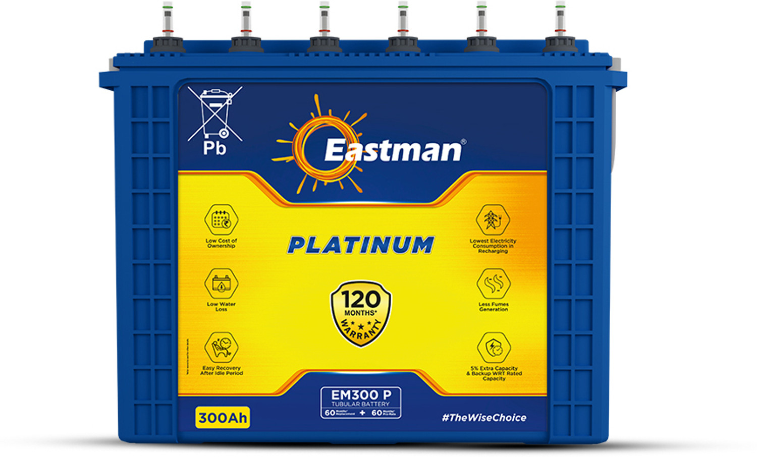 Image of EASTMAN 120 Months Warranty Tubular Inverter Battery (300 Ah, EM300P)