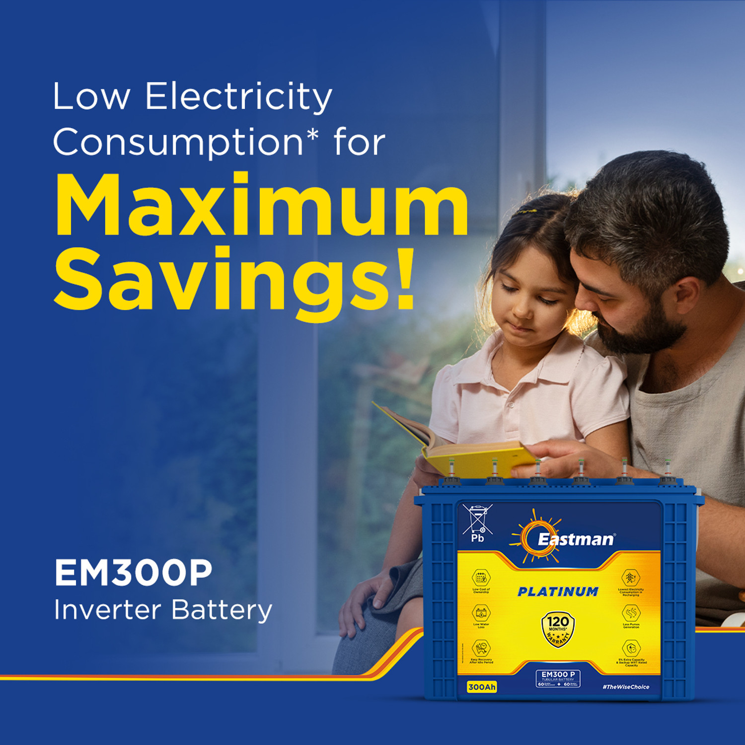 Image of EASTMAN 120 Months Warranty Tubular Inverter Battery (300 Ah, EM300P)