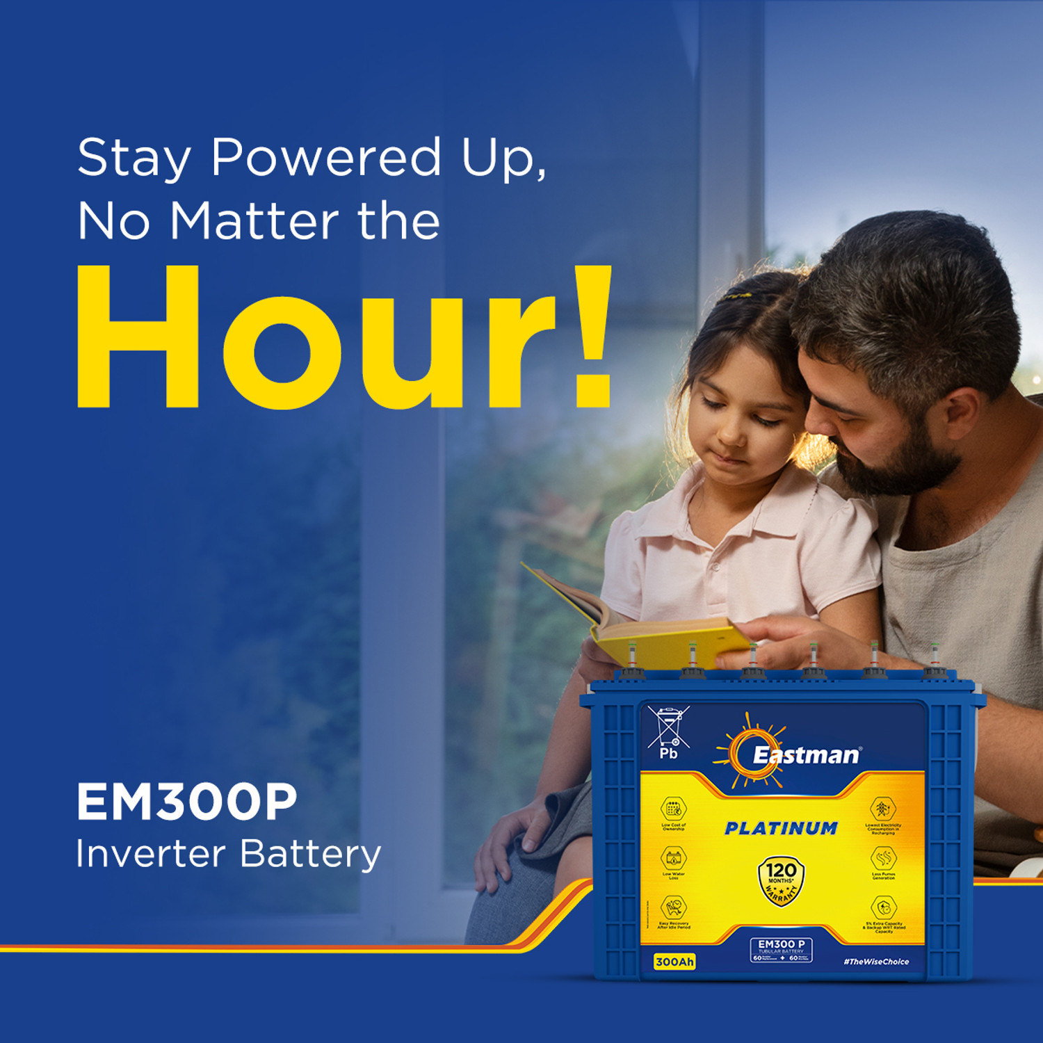 Image of EASTMAN 120 Months Warranty Tubular Inverter Battery (300 Ah, EM300P)